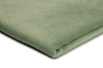 Minky Plüsch Glatt Zweiseitig Salbei