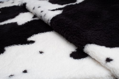 krówka czarna B.jpg