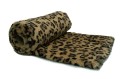 Gepard A.jpg