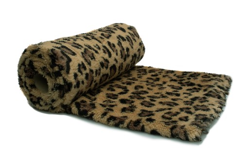 Gepard A.jpg