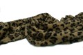 Gepard C.jpg