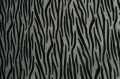 Szara zebra D.jpg